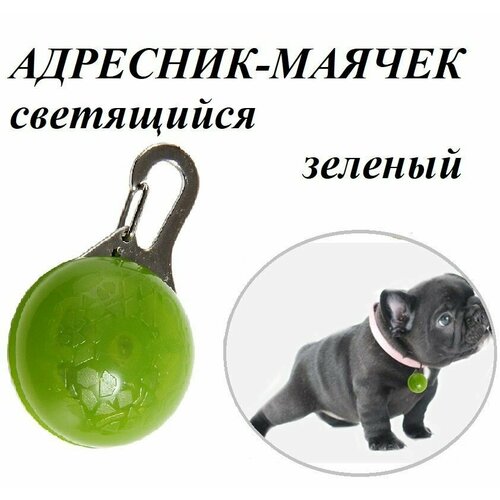 Адресник маячок / брелок для домашних животных зеленый