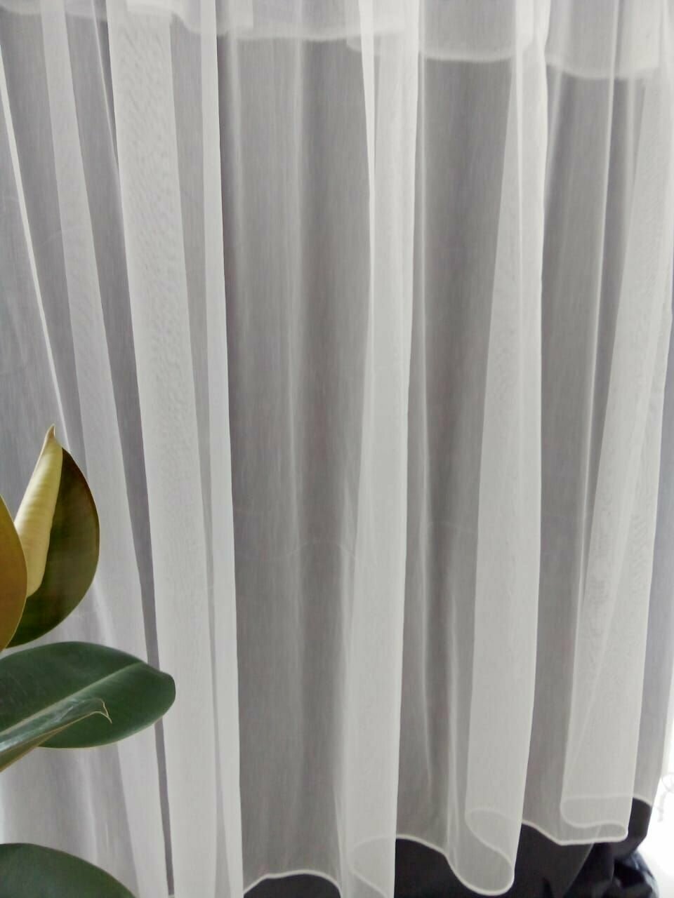 фото Тюль Бамбук Однотонный Белый 500*315
