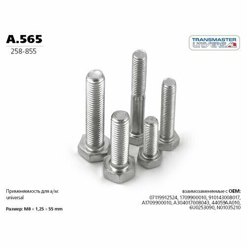 Болт крепежный M8x55MM TRANSMASTER UNIVERSAL A.565 TRANSMASTER UNIVERSAL A565