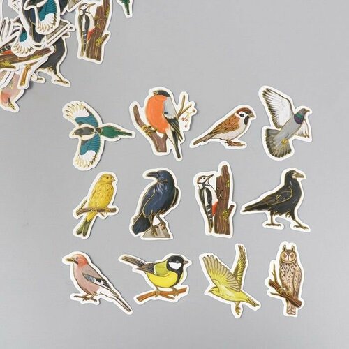Наклейки для творчества Городские и лесные птицы тиснение золото набор 48 шт 9х7х0,8 см городские птицы без поля