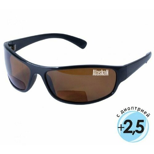 солнцезащитные очки alaskan коричневый черный Солнцезащитные очки Alaskan, коричневый