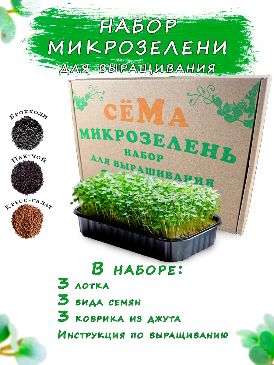 Набор микрозелени для выращивания "Микрогенезис" 3 культуры - фотография № 1