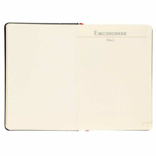 Ежедневник недатированный, А5, твердый картон 7Бц, кожзам, поролон, 168 листов, цвет черный Boss FIORENZO