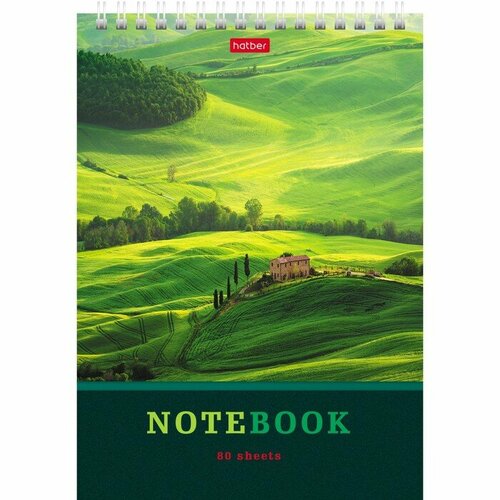 Блокнот A5, 80 листов на гребне Зелёные долины, обложка мелованный картон, УФ-лак, жёсткая подложка, 2 штуки