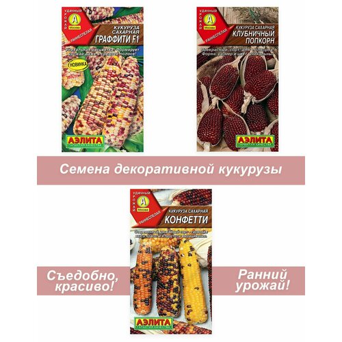 Семена кукурузы цветной декоративной съедобной, 3 шт кукуруза для попкорна вимпак 120г