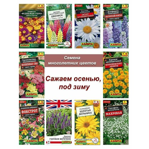 набор семян семена многолетних неприхотливых цветов Семена многолетников, набор семян многолетних цветов