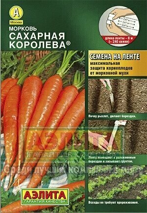 Семена моркови 