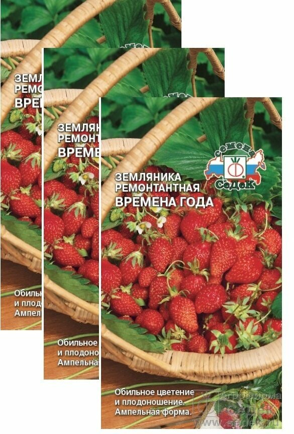 Семена Земляника ремонтантная Времена года 0,04 г (СеДеК) , 3 пакетика * 0,04 г