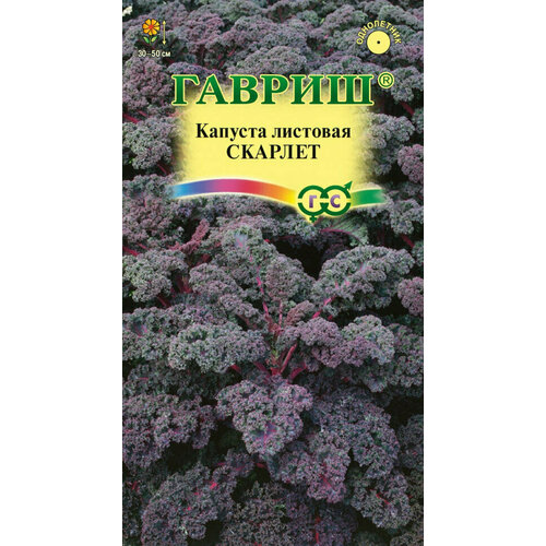 Гавриш, Капуста листовая Скарлет Н21, по 0,2 г набор семян микрозелени капуста листовая скарлет 2 г х 2 уп