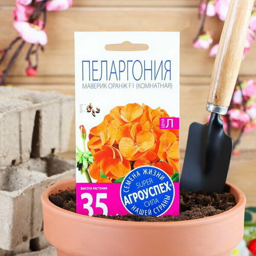 Семена комнатных цветов Пеларгония Oранж, 4 шт. семена комнатных цветов пеларгония oранж 4 шт
