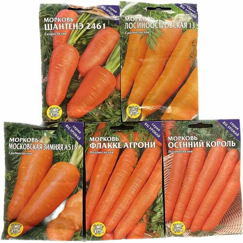 Семена набор морковь 5 видов Московская/Осенний Король/Флакке