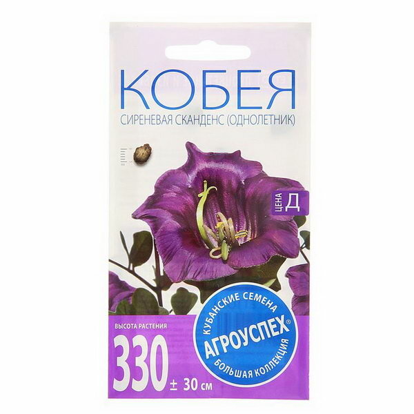 Семена цветов Кобея 