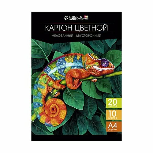 Картон цветной двусторонний А4, 10 листов, 20 цветов, Calligrata TOP мелованный 230 г/м2, в папке