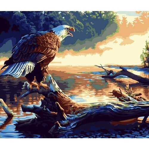 Цветной Картина по номерам Орел на дереве, 40х50 см картина по номерам орел на дереве 40x50 см