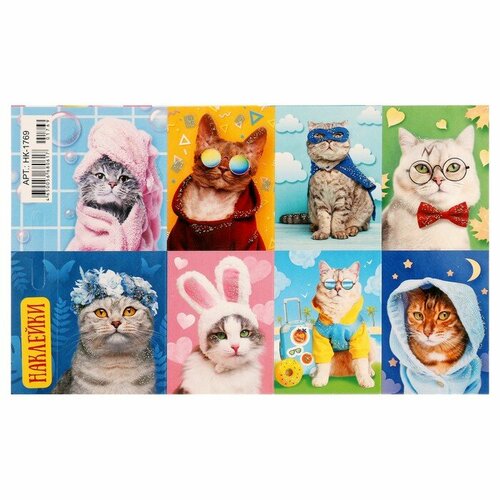 Декоративные наклейки Забавные коты - 1 глиттер, 16х9,7 см 9937370