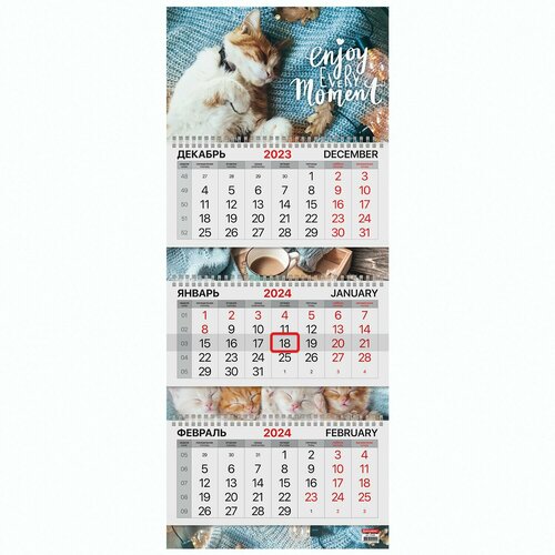 Календарь квартальный Brauberg Sleepy Cat, на 2024 год, 3 блока, 3 гребня, с бегунком, мелованная бумага