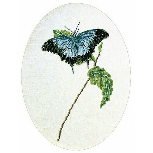 фото Butterfly blue (бабочка голубая) #1024 thea gouverneur набор для вышивания 24 x 33 см счетный крест