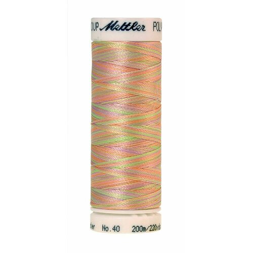 Нить вышивальная разноцветный, POLY SHEEN MULTI, 200 м, 5 шт нить вышивальная разноцветная poly sheen multi 200 м 5 шт