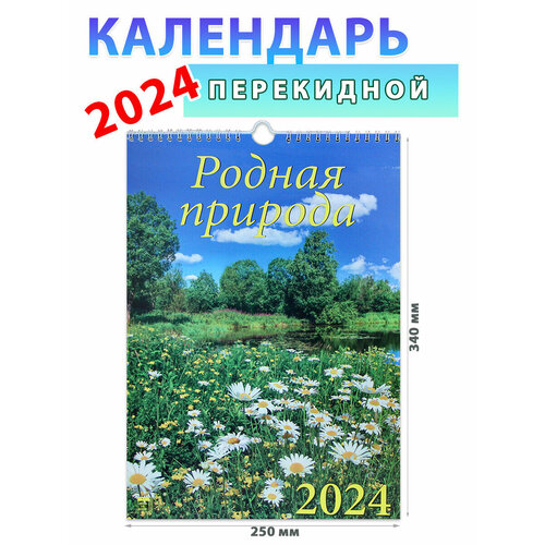 День за днем Календарь настенный на 2024 год Родная природа, 250х340 мм календарь настенный на 2023 год родная природа