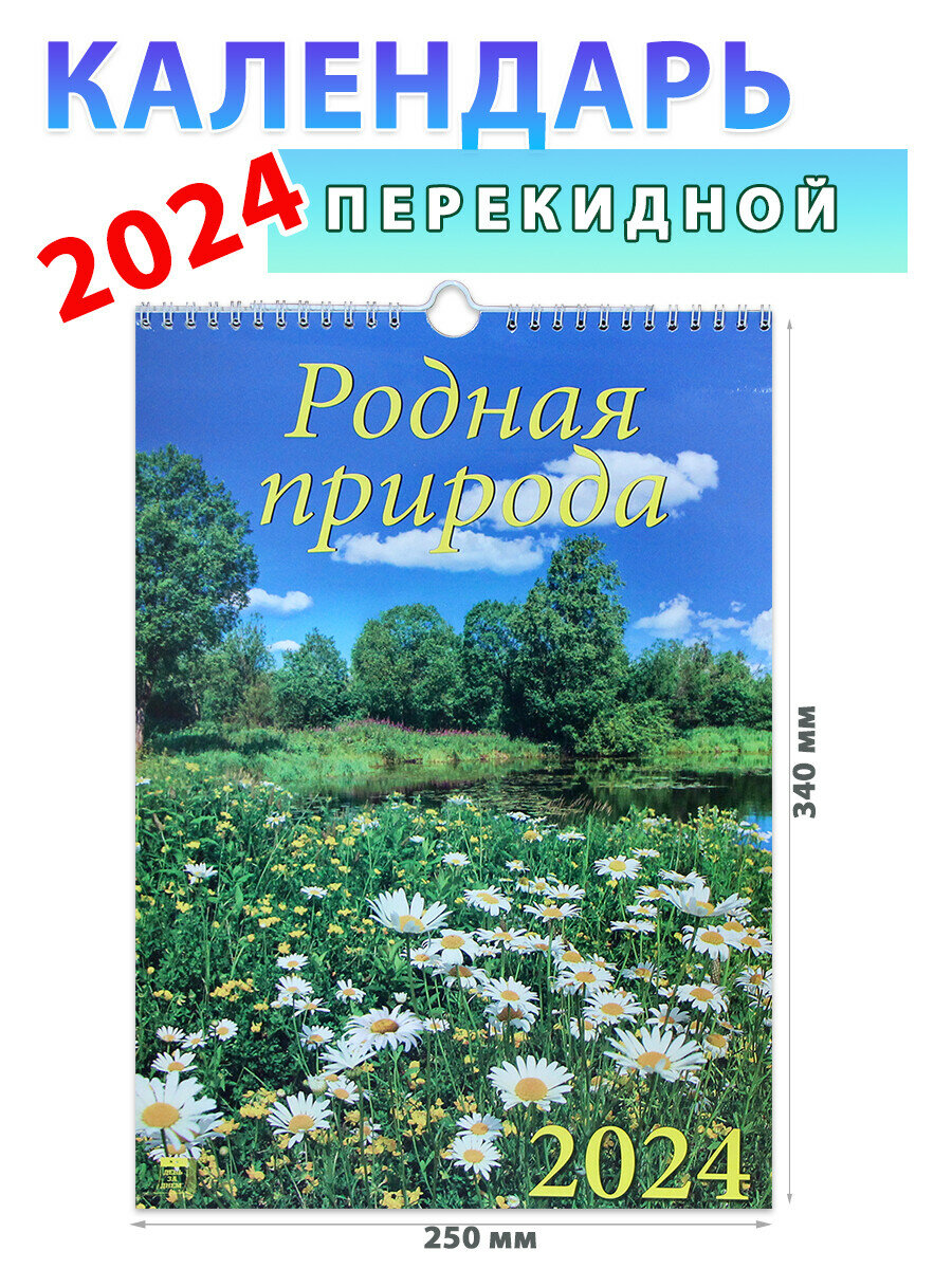 День за днем Календарь настенный на 2024 год "Родная природа", 250х340 мм