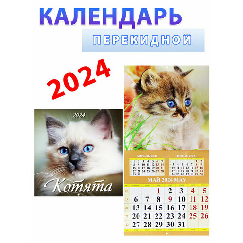 Атберг 98 Календарь на 2024 год: Котята 285х285 мм