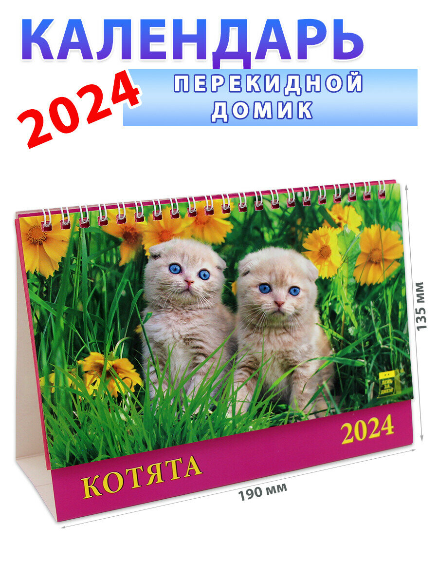 День за днем Календарь-домик на 2024 год "Котята" 135х190 мм