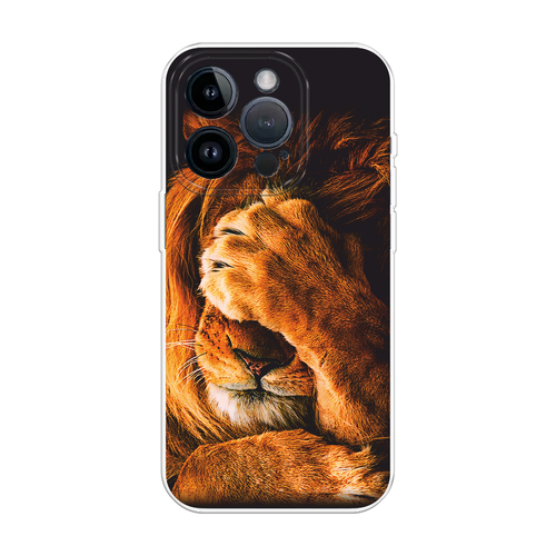 бежевый, коричневый, белый, черный