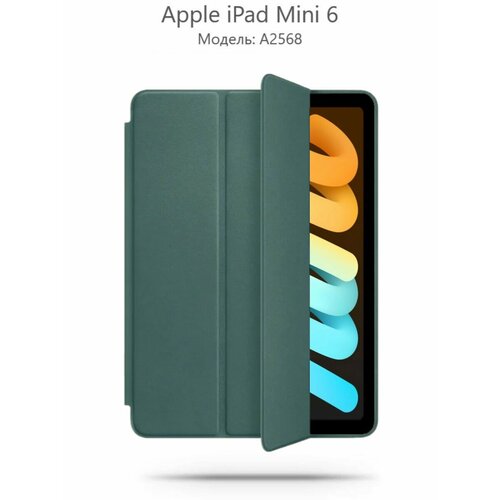    iPad Mini 6 (2021) A2568