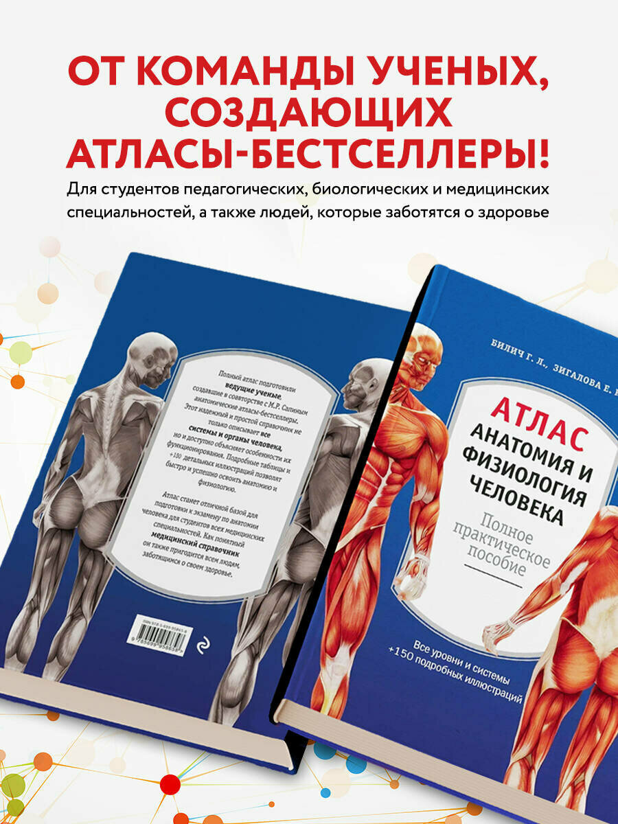 Атлас. Анатомия и физиология человека. Полное практическое пособие - фото №3