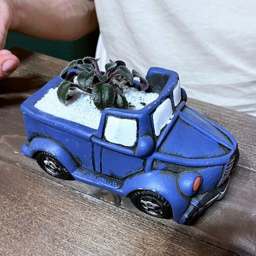 Фиалка мини в кашпо Автомобиль