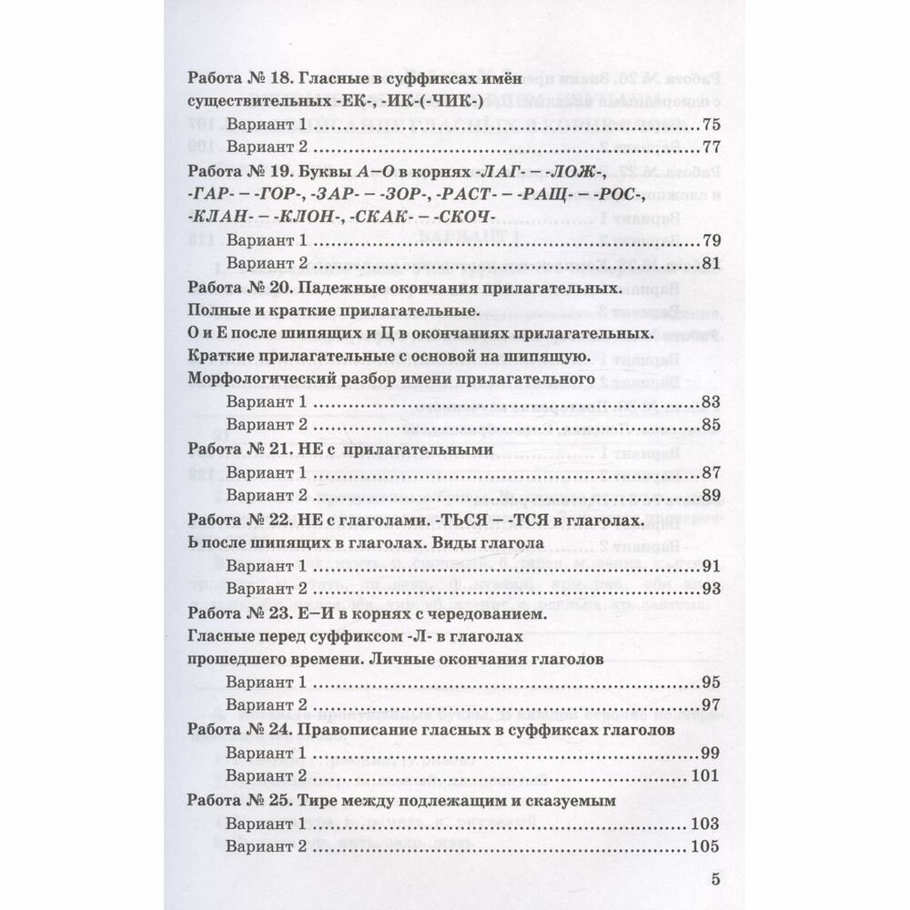 Русский язык. 5 класс. Зачетные работы к учебнику Т. А. Ладыженской и др. ФГОС - фото №4