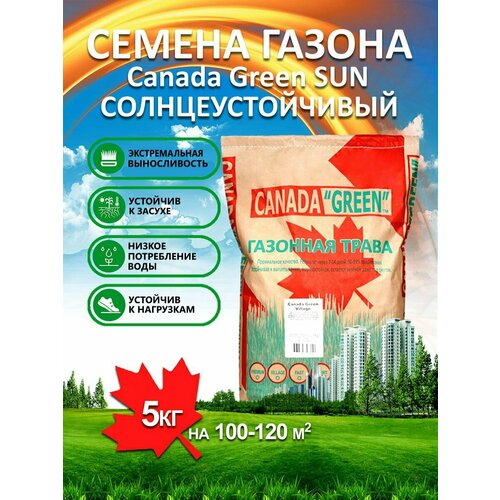 газонная трава семена низкорослый 5 кг canada green premium Газонная трава семена Канада Грин Солнечный SUN 15 кг/ райграс, мятлик, овсяница семена