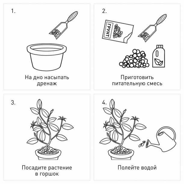 Декоративно-лиственные субстрат 1 л (1 ед.) - фотография № 2