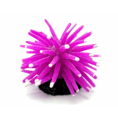 Декорация для аквариума 