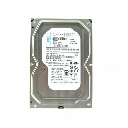 Жесткий диск IBM 39M4508 250Gb 7200 SATAII 3.5 HDD жесткий диск ibm 39m4508 250gb 7200 sataii 3 5 hdd