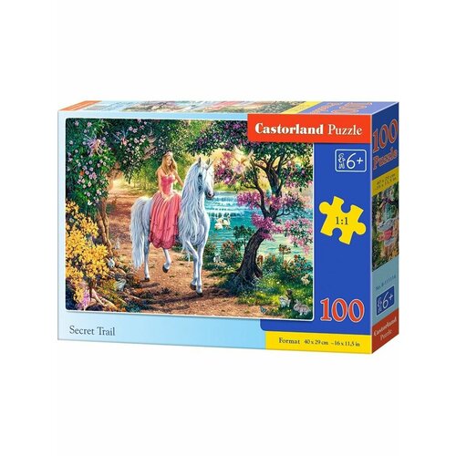 Castorland Пазлы Тайные тропы 100 деталей 1114/B9-111114 puzzle 100 тайные тропы castorland