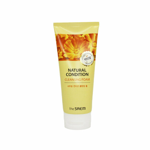 The Saem Пенка Natural Daily Cleansing Foam Honey