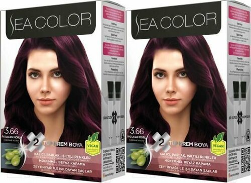 SEA COLOR HAIR DYE KIT Набор для окрашивания волос 3.66 Баклажан, 2 шт.