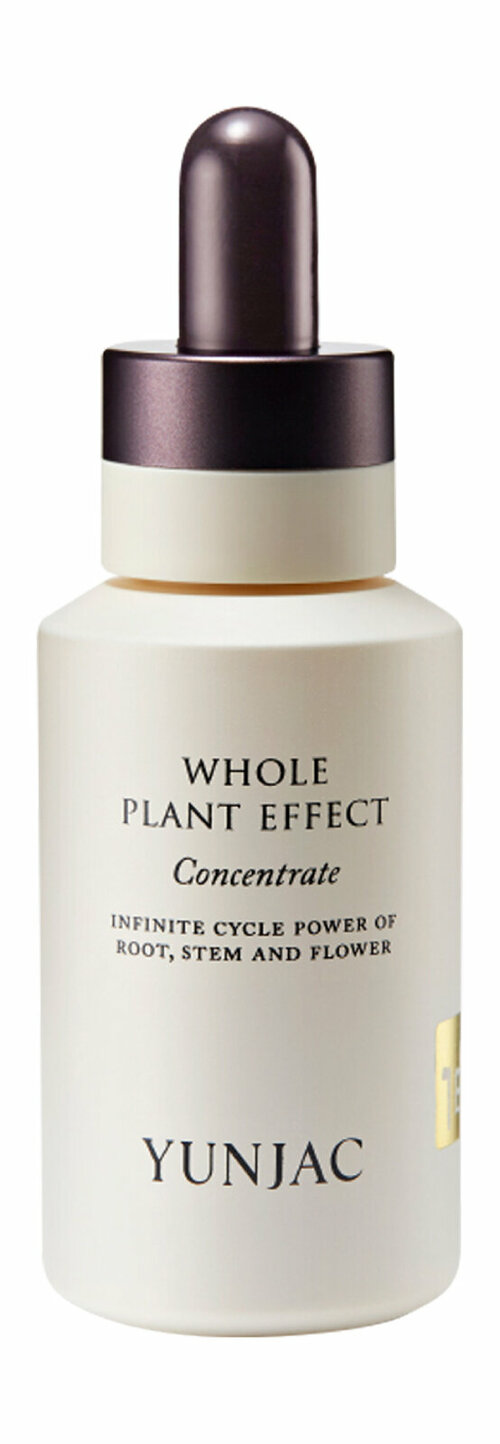 YUNJAC Whole Plant Effect Concentrate Сыворотка-концентрат для лица увлажняющая обновляющая, 40 мл