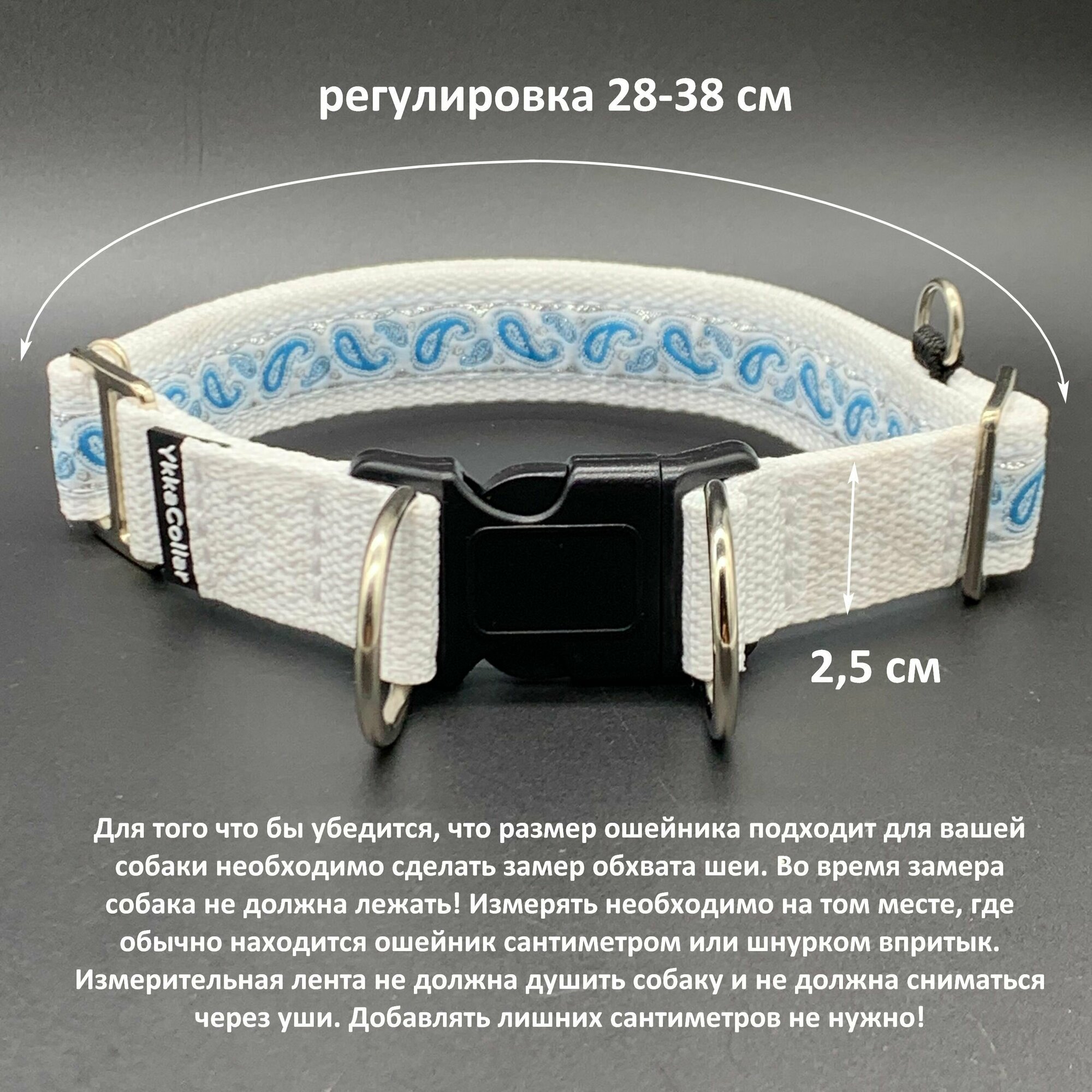 Ошейник на фастексе с регулировкой YkkaСollar, шириной 2,5 см на обхват шеи 28-38 см - фотография № 1