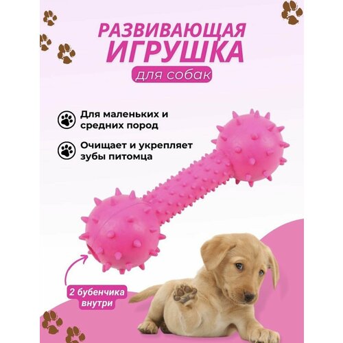 Игрушка для собак с бубенчиком