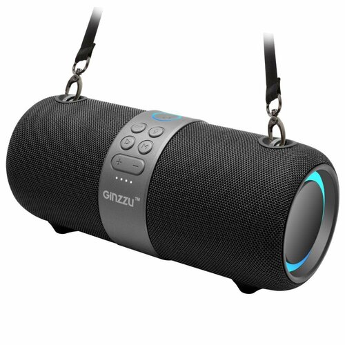 Колонка портативная GINZZU GM-903B 10 моно-колонка Черный 470500₽