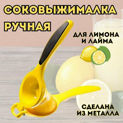 Соковыжималка сквизер для лимона и лайма LMLT0013 103900₽