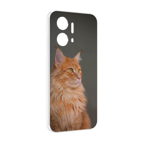 Чехол MyPads кошка мейн кун 1 для Honor X7a задняя-панель-накладка-бампер