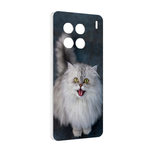 Чехол MyPads порода кошки британская длинная для Vivo X90 Pro задняя-панель-накладка-бампер