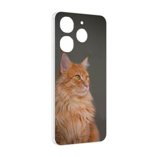 Чехол MyPads кошка мейн кун 1 для Tecno Spark 10 Pro задняя-панель-накладка-бампер