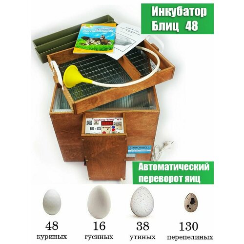Инкубатор яиц "блиц" для 48 куриных яиц, автоматический переворот, домашний для птиц, цыплят