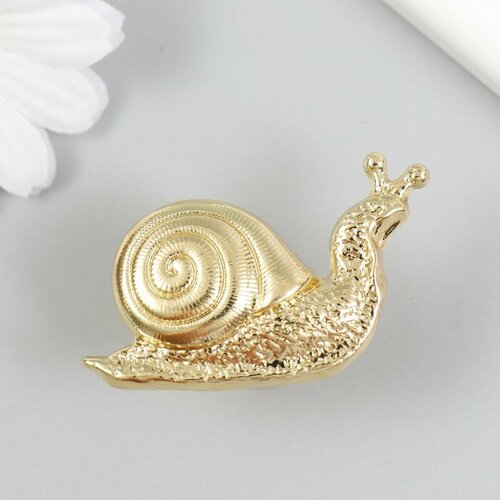 Ручка для шкатулки металл Улитка золото 28х52 см 1093₽