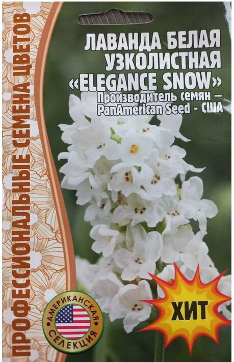 Семена Лаванды белой узколистной "Elegance snow" (5 семян)