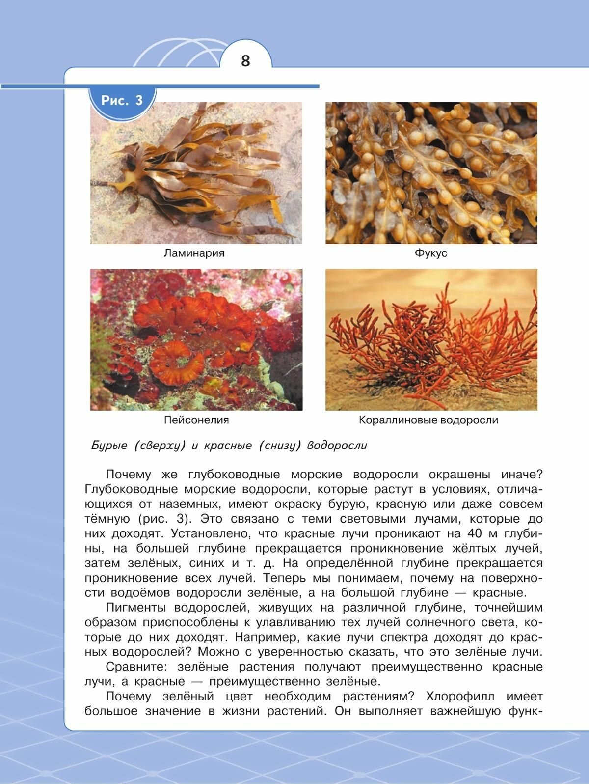 Естественно-научные предметы 6 класс Экологическая культура Учебник - фото №11